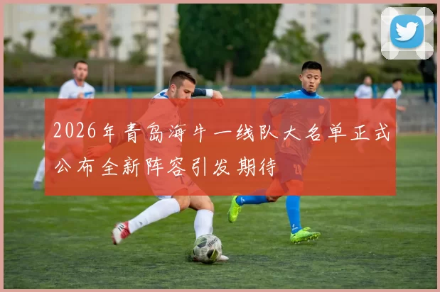 2026年青岛海牛一线队大名单正式公布全新阵容引发期待